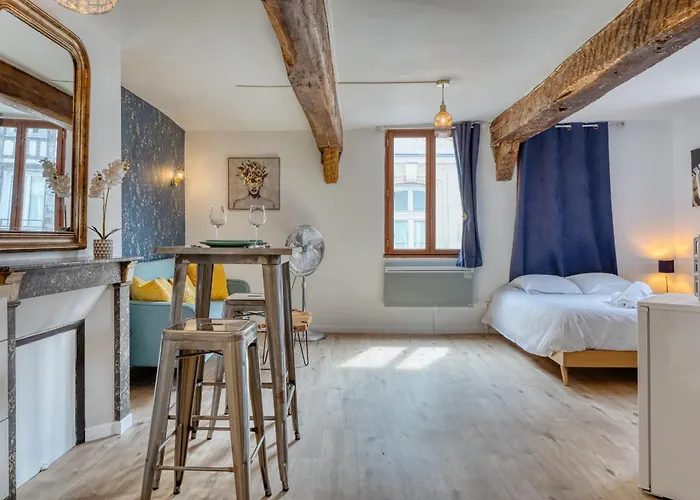 Authentique 3 Nid Urbain Au Charme Envoutant En Plein Coeur De Apartman *